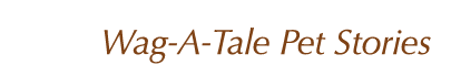 Wag A Tale